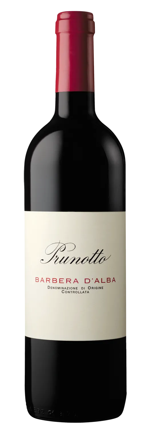 Barbera d'Alba  2022