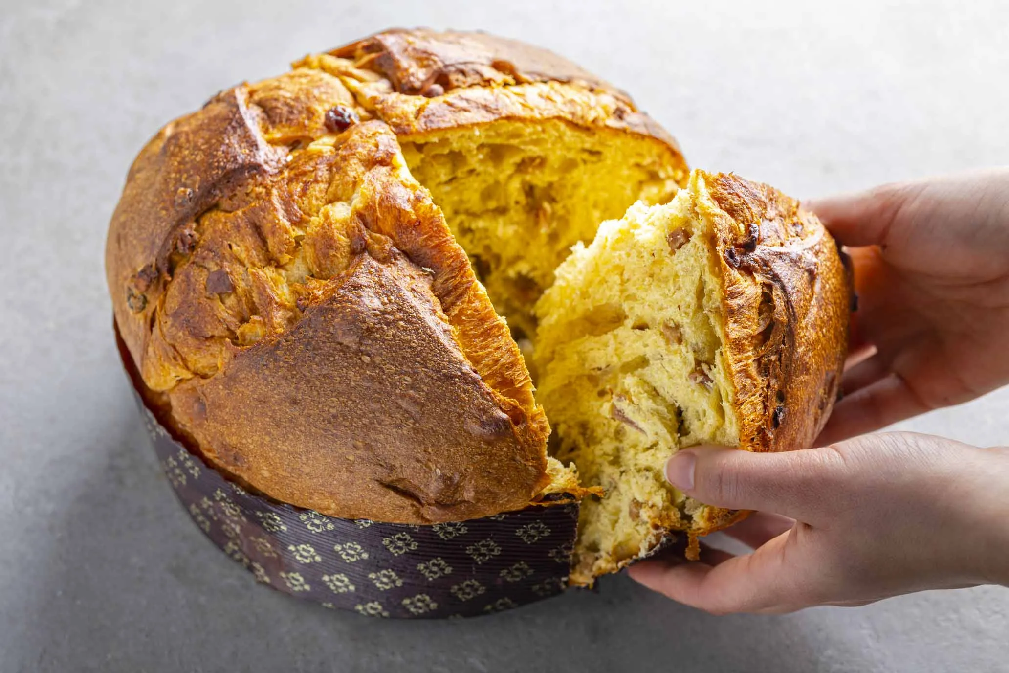 Panettone classico Bio