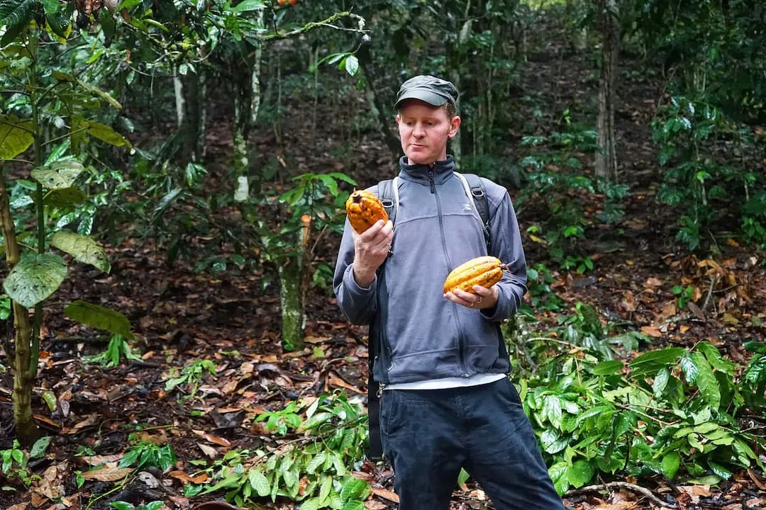 Cioccolato 70 % ai lamponi bio