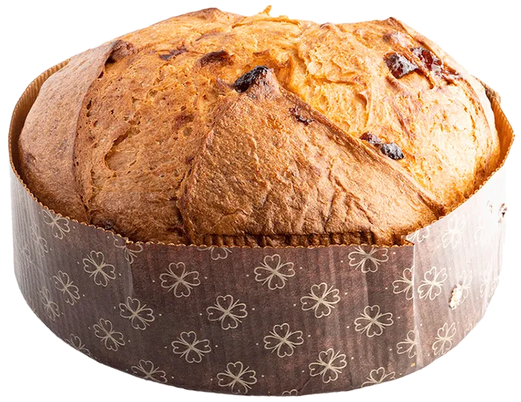 Panettone all'albicocca