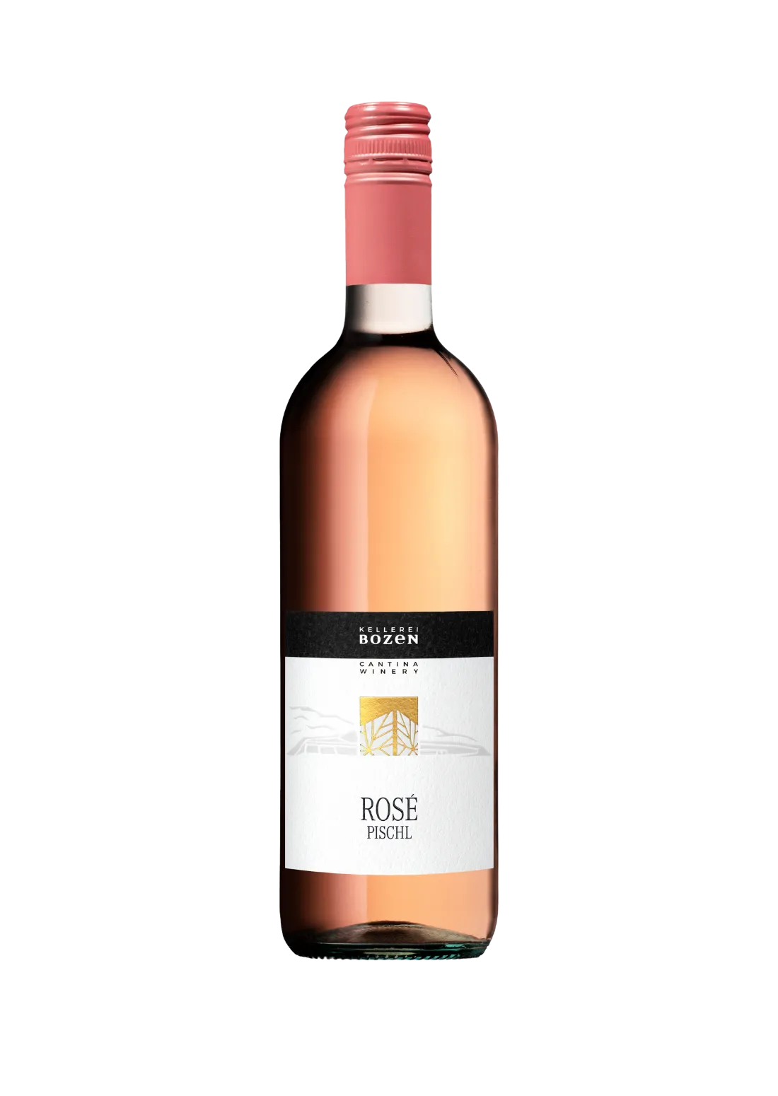 Cuvée Rosé "Pischl"  2024