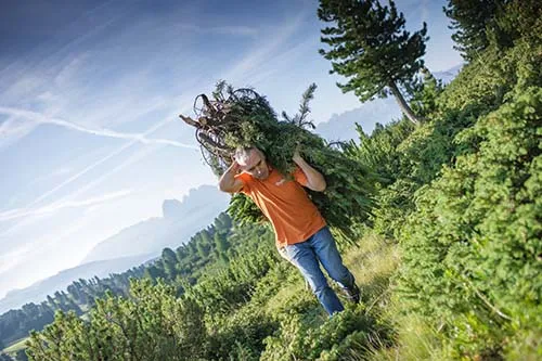 Fussgel mit Latschenkieferöl Bio