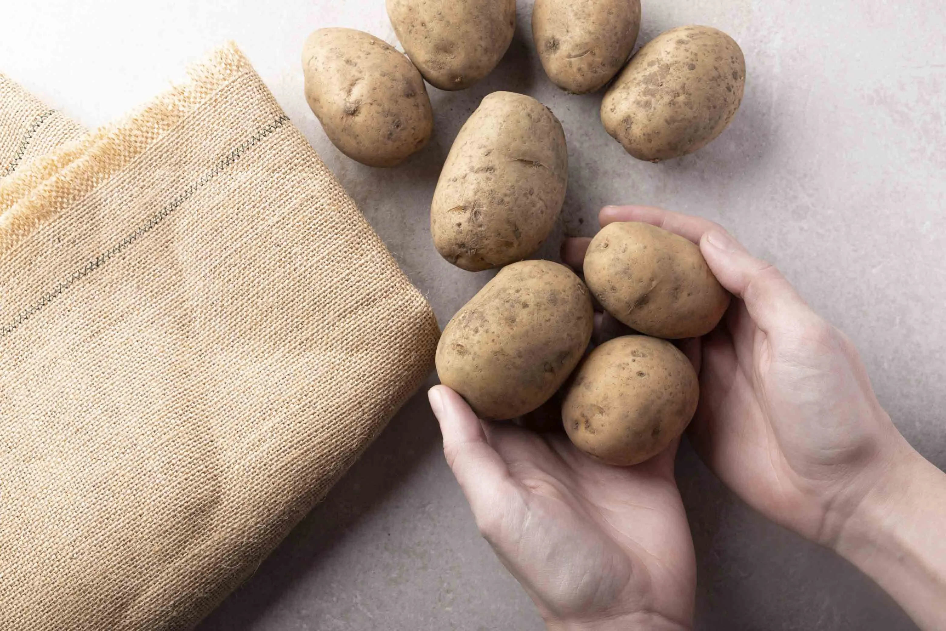 Kartoffeln festkochend Bio