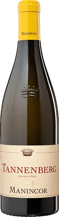 Sauvignon "Tannenberg" Bio 2023