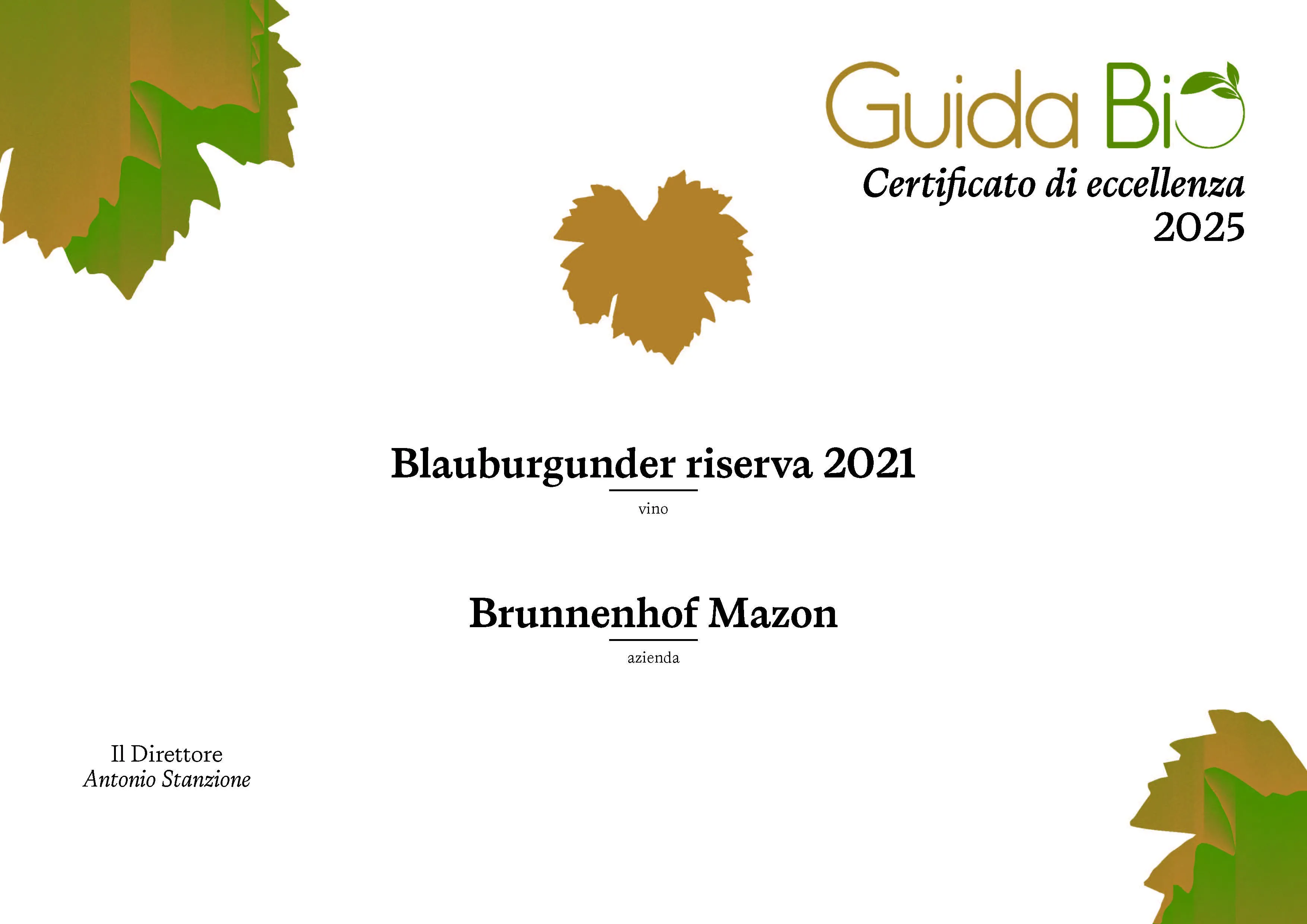 Blauburgunder Riserva Mazzon Bio