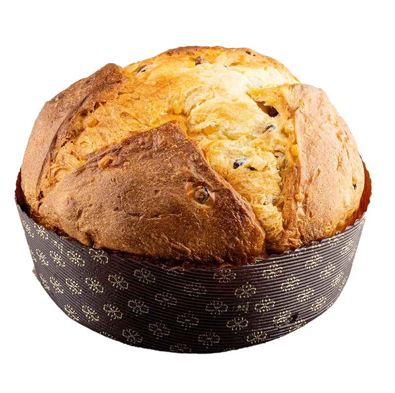 Panettone Klassisch Bio