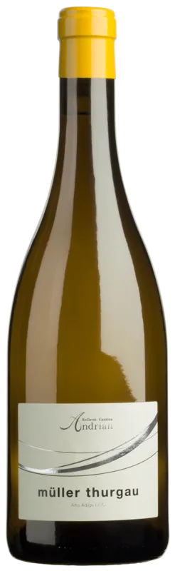 Müller Thurgau 2023