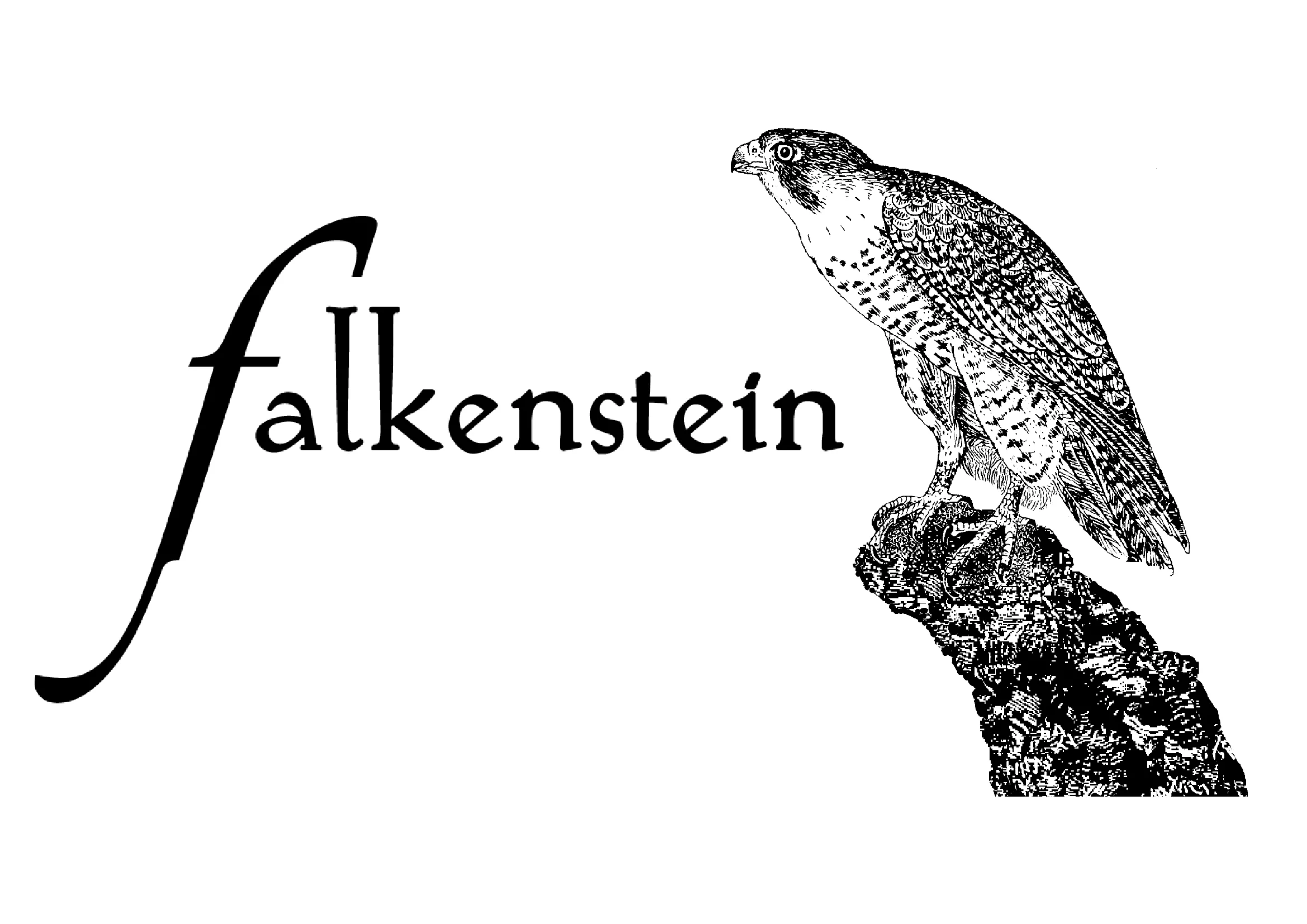 Azienda Agricola Falkenstein