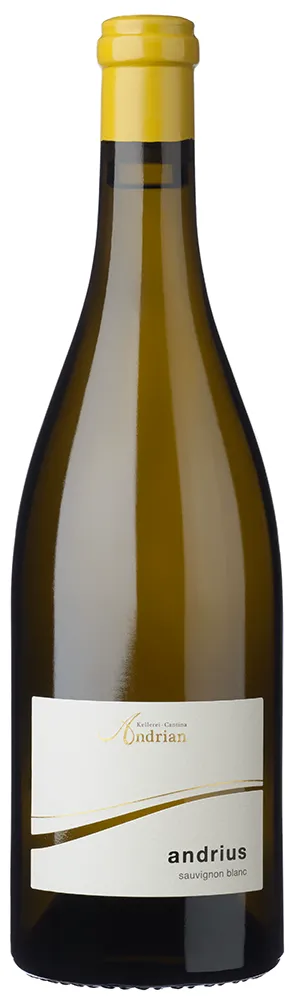 Sauvignon "Andrius" 2022