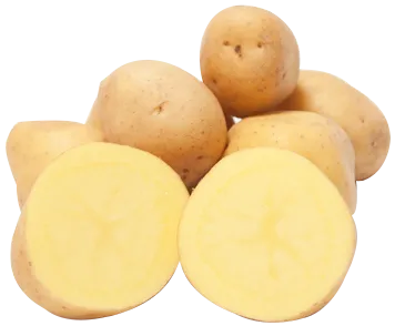 Patate Anuschka BIO