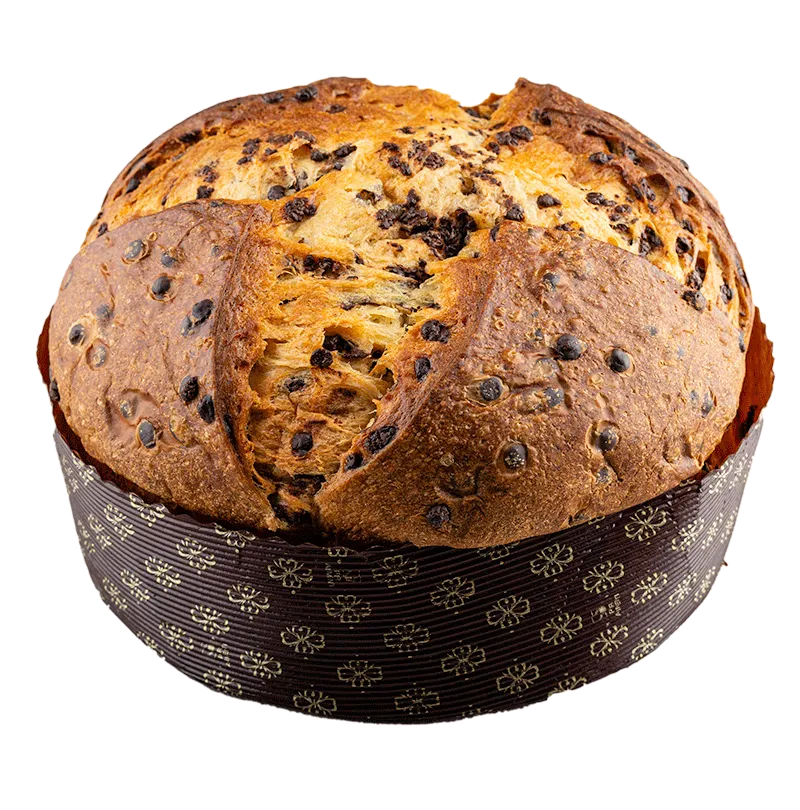 Panettone cioccolato fondente bio