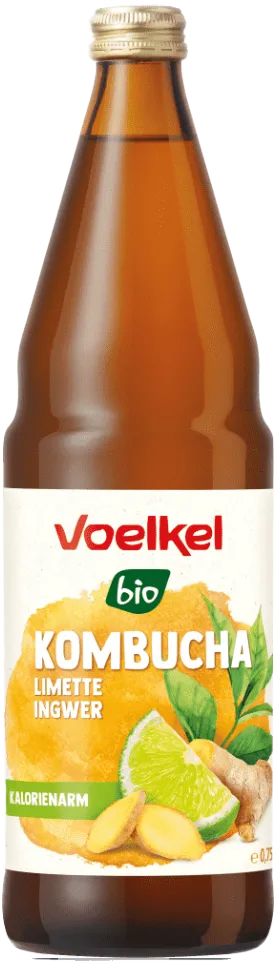 Kombucha Limette und Ingwer Bio