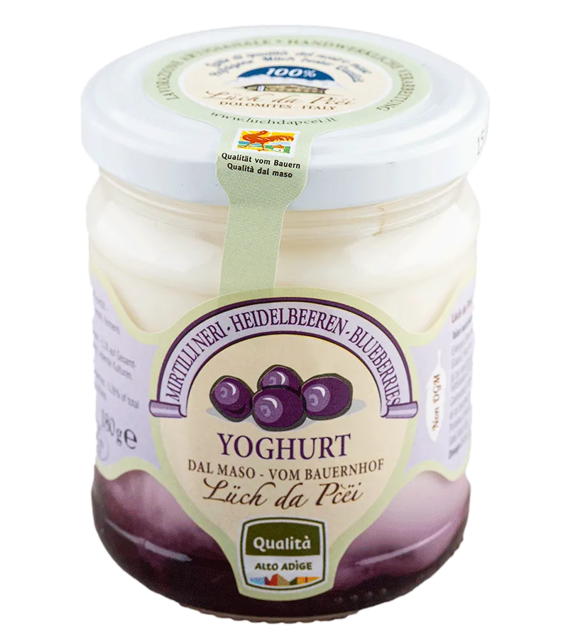 Yogurt ai mirtilli neri dal maso