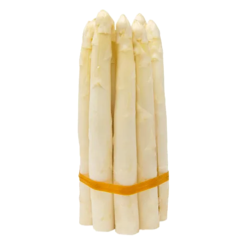 Frischer weißer Spargel 1 Qualität 5 kg  Kisten Condin