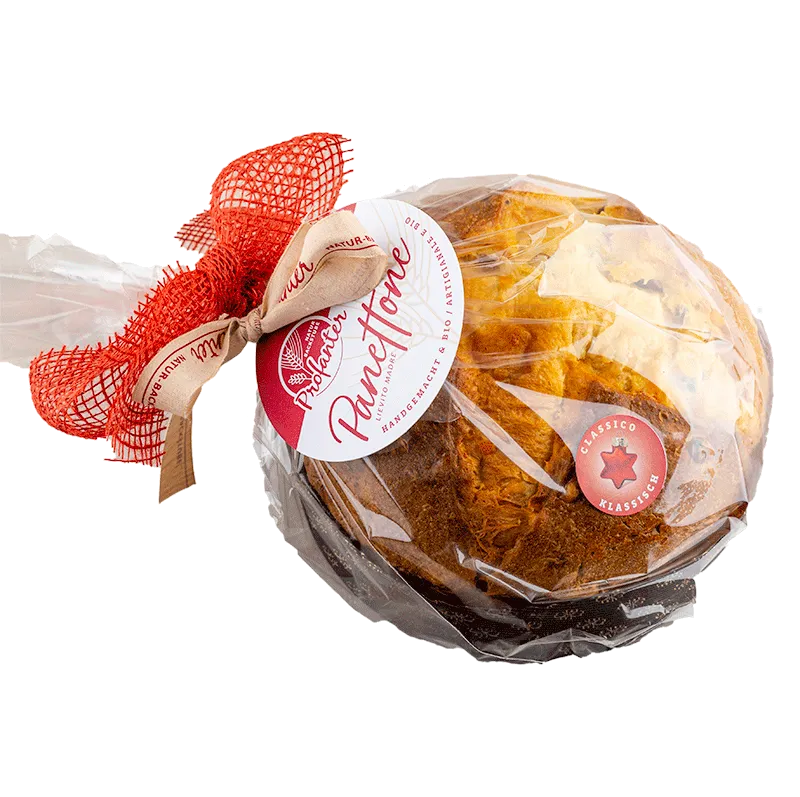 Panettone classico Bio