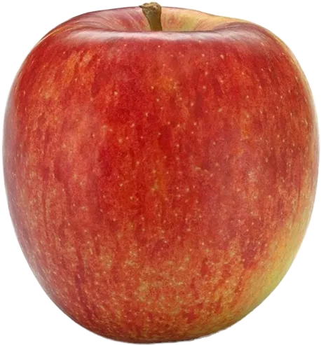 Mele fresche sfuse 13 kg Braeburn BioSüdtirol BIO