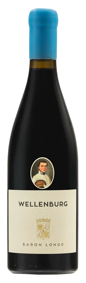 Cuvée Rot "Wellenburg" 2020