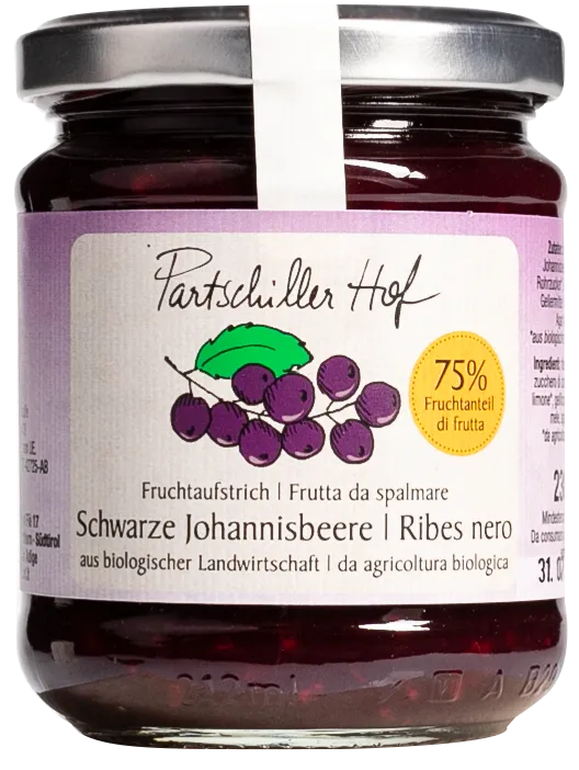 Frutta da spalmare ribes nero Bio