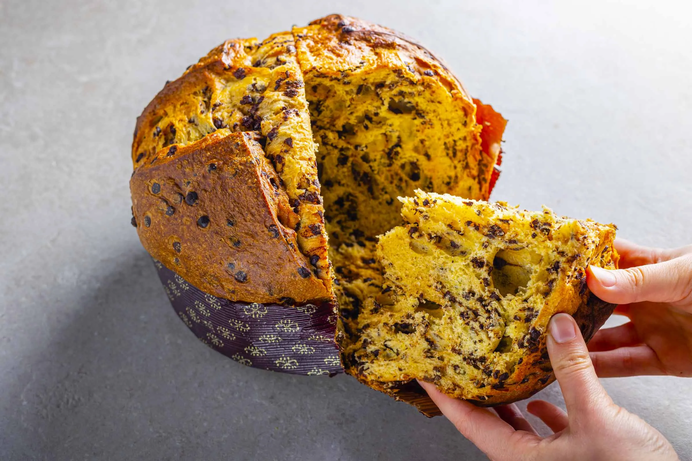 Panettone cioccolato fondente bio