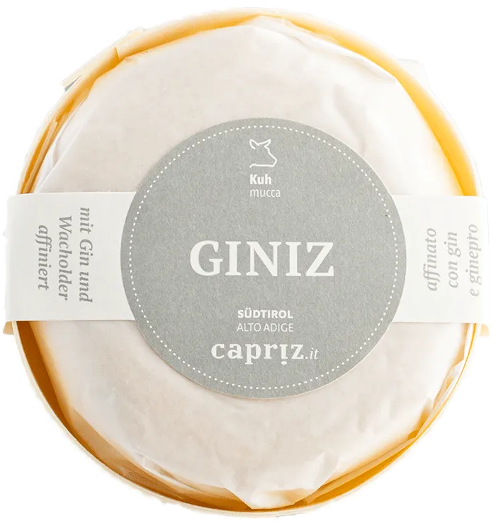 Formaggio molle "GINiz" di latte vaccino