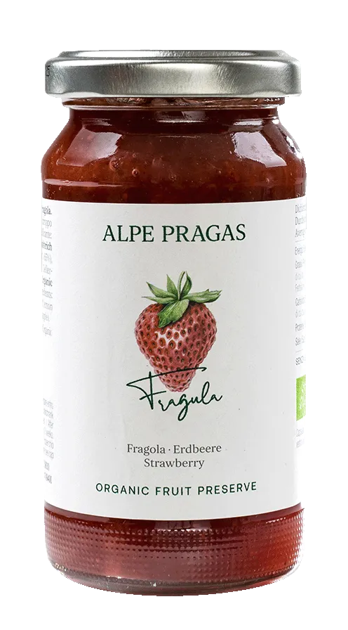 Fragole Bio Composta