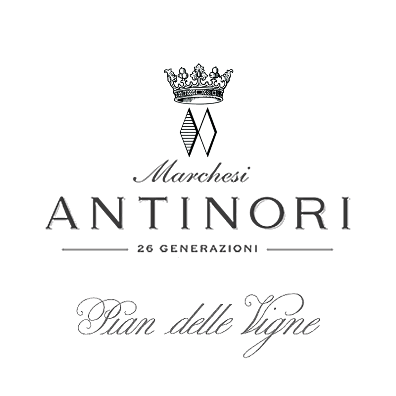 Pian delle Vigne