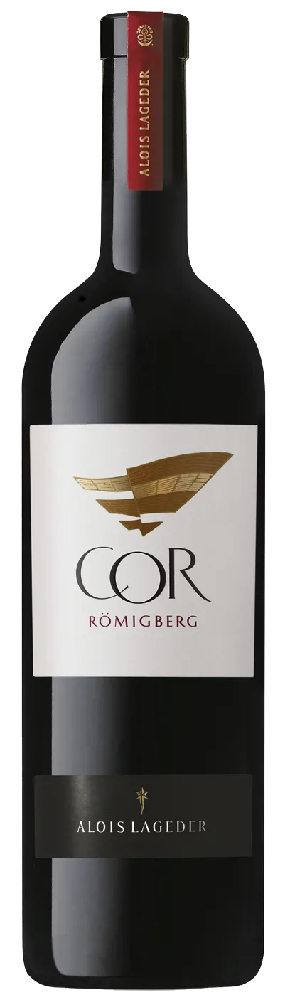 Cabernet Sauvignon "Cor Römigberg" Bio  2019