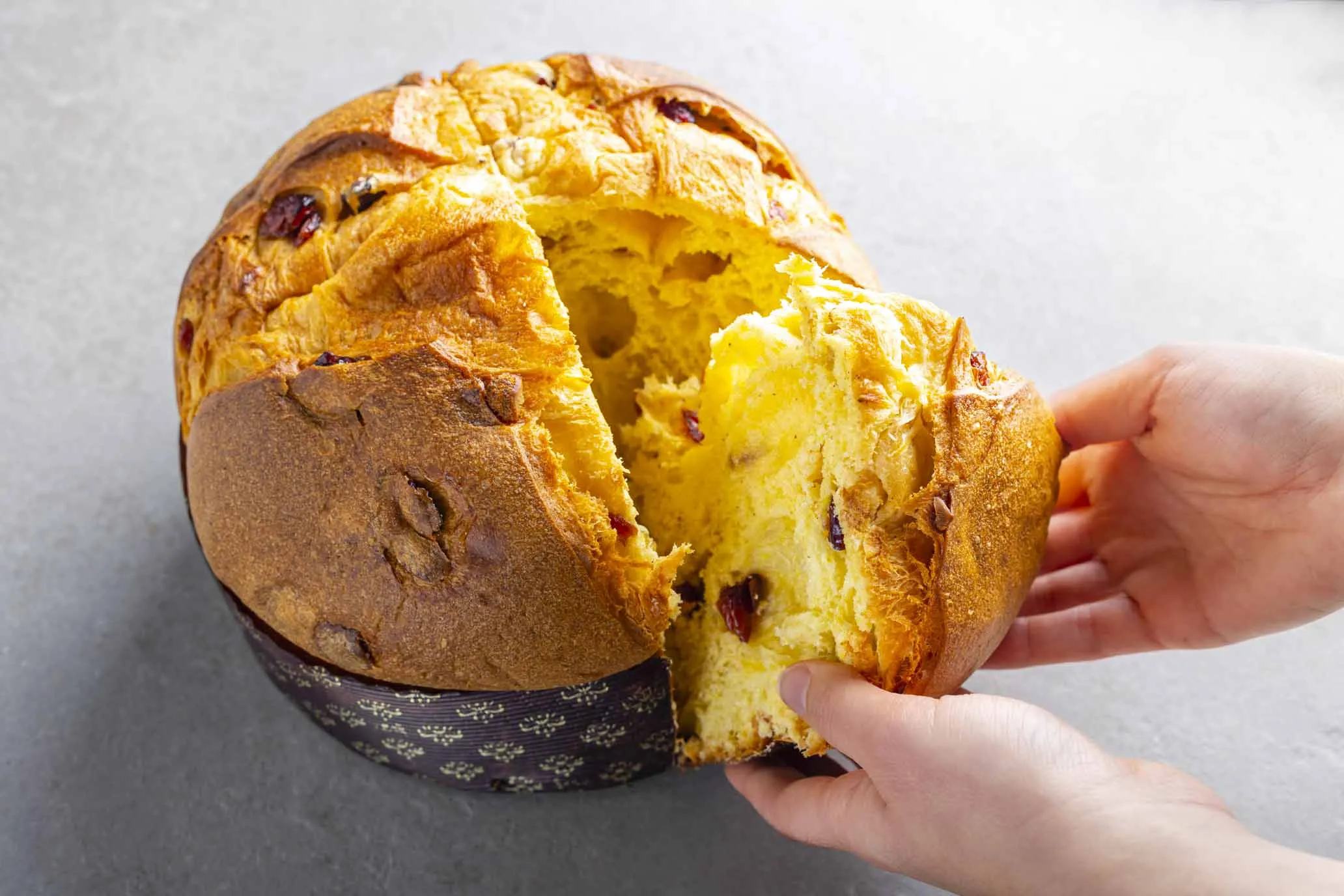 Panettone cioccolato bianco e cranberry bio