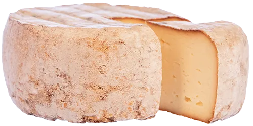 Schnittkäse "Fumus"