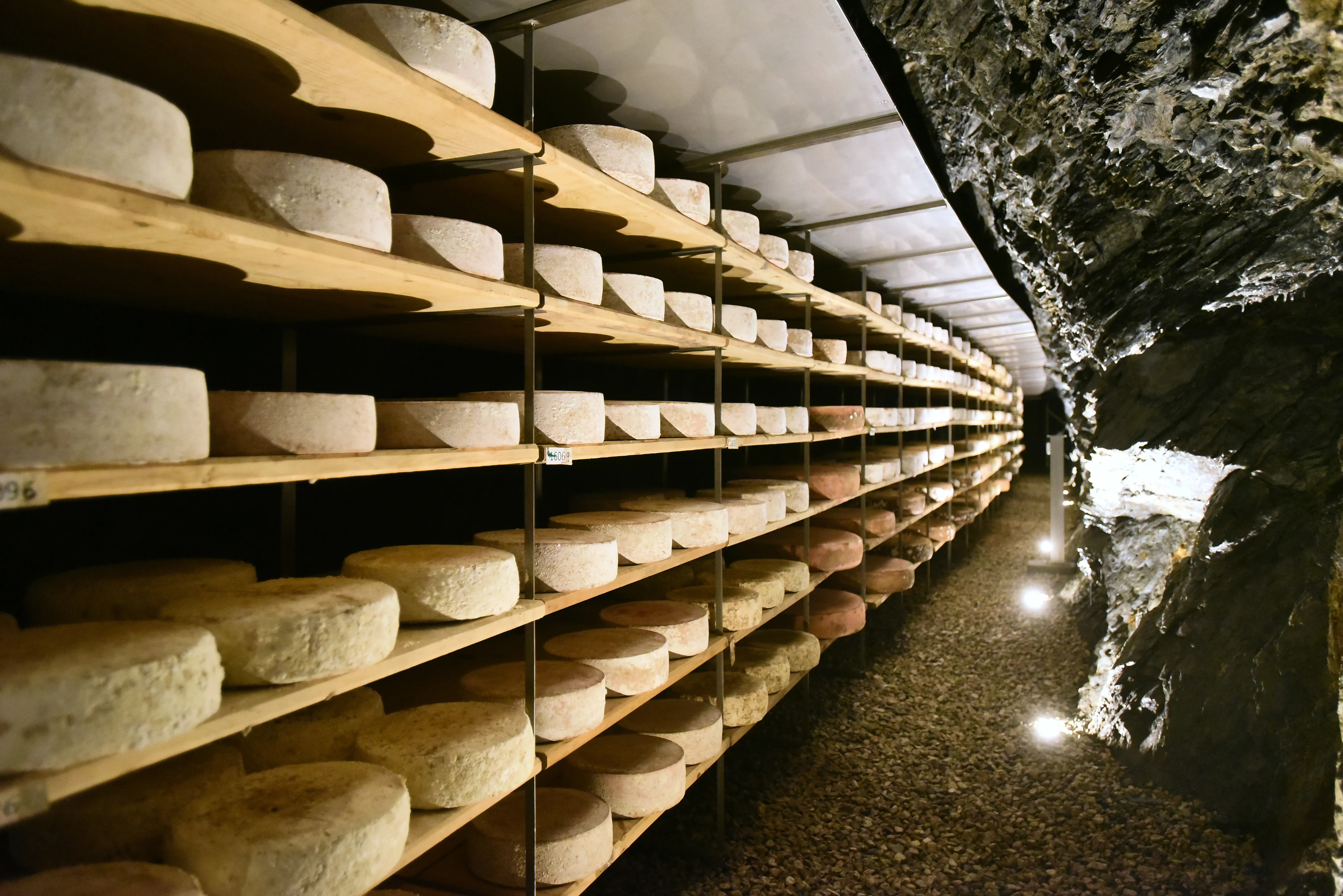 Formaggio caprino da taglio "Ziegiz Caverna" 