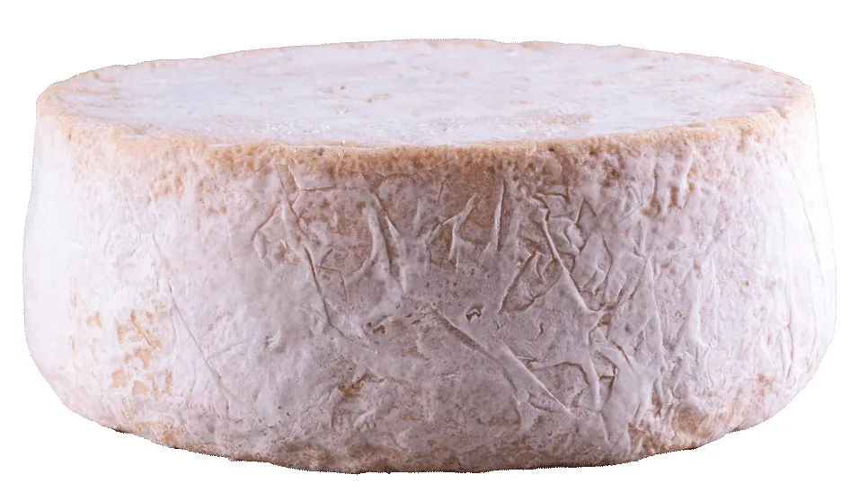 Formaggio erborinato Trada Bio