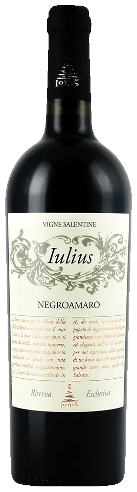 Salento Negroamaro "Gigaro / Iulius Ionis" 2023