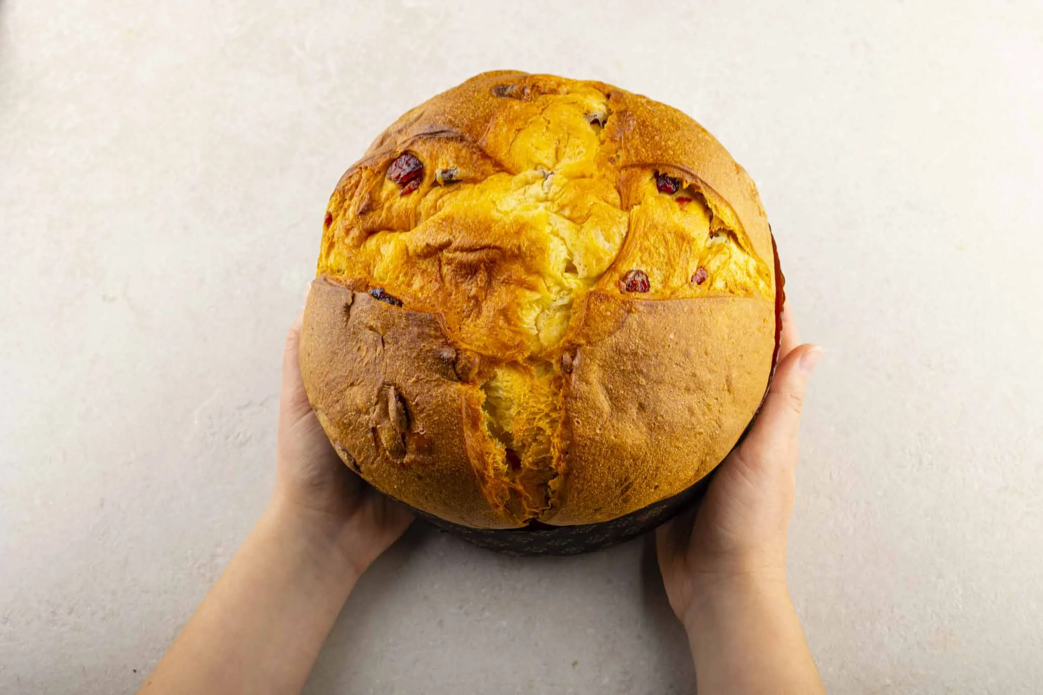 Panettone cioccolato bianco e cranberry bio