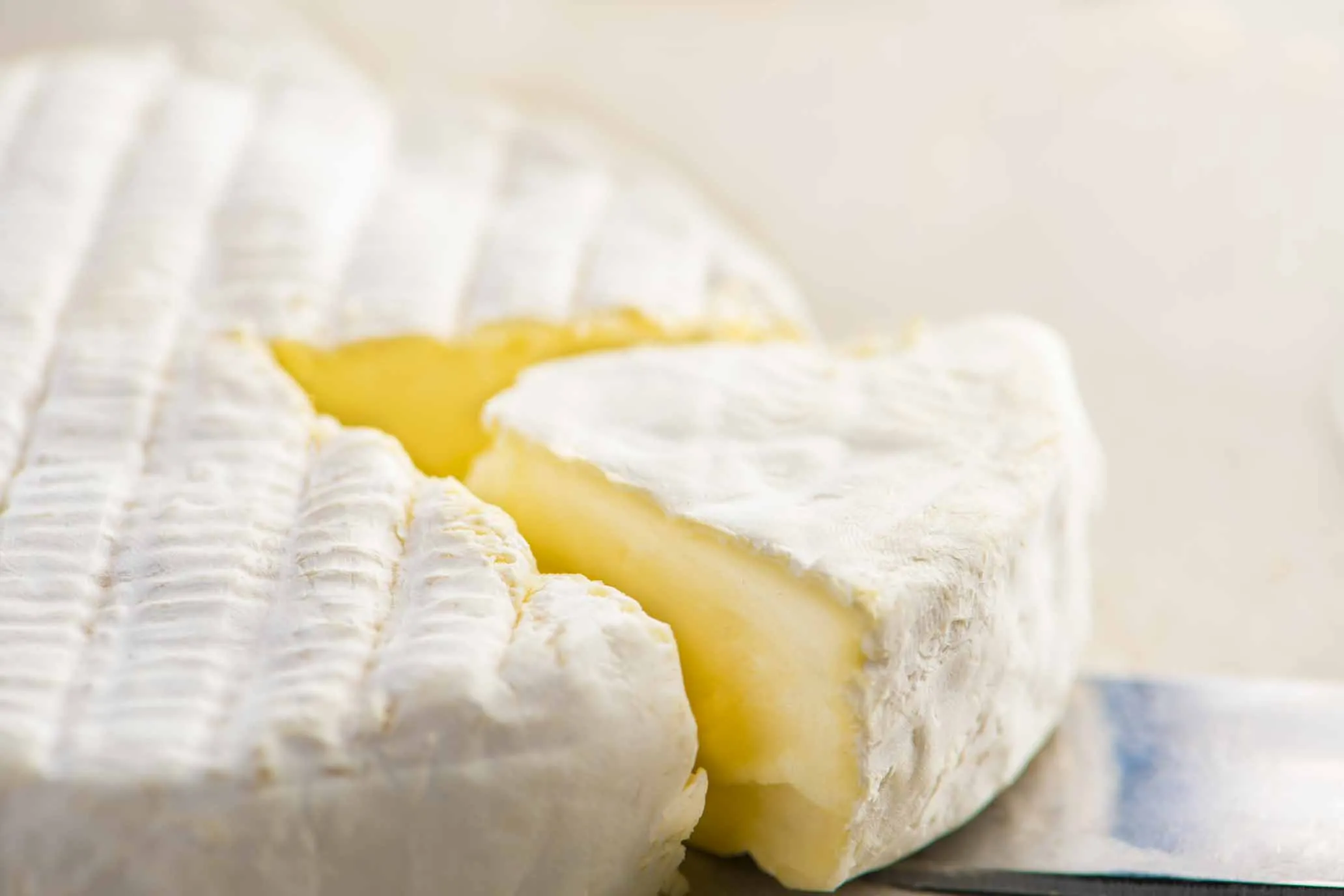 Camembert aus Ziegenmilch