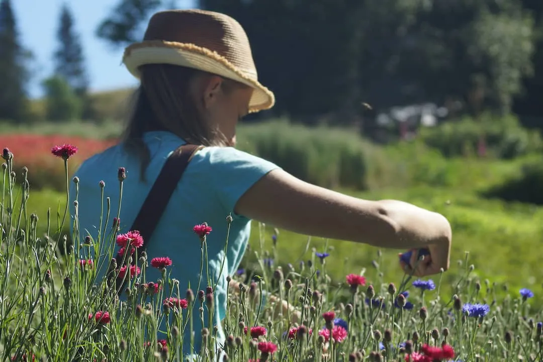 Honigseife mit Wildrose Bio