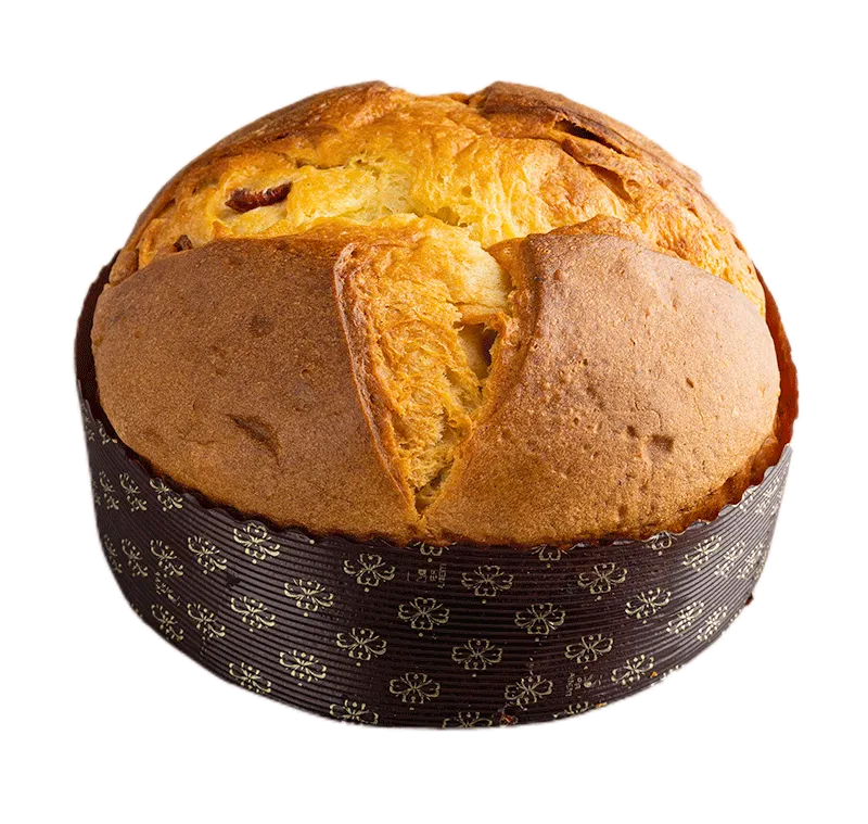 Panettone cioccolato bianco e cranberry bio