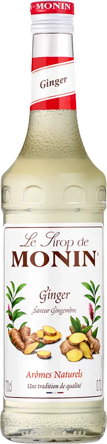 Le Sirop de Monin Ingwer Gingembre Zenzero