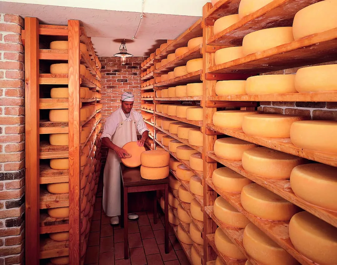 Formaggio con Peperoncino Bio della casa