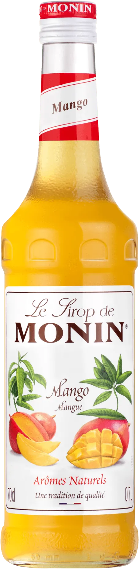 Le Sirop de Monin Mango Mangue