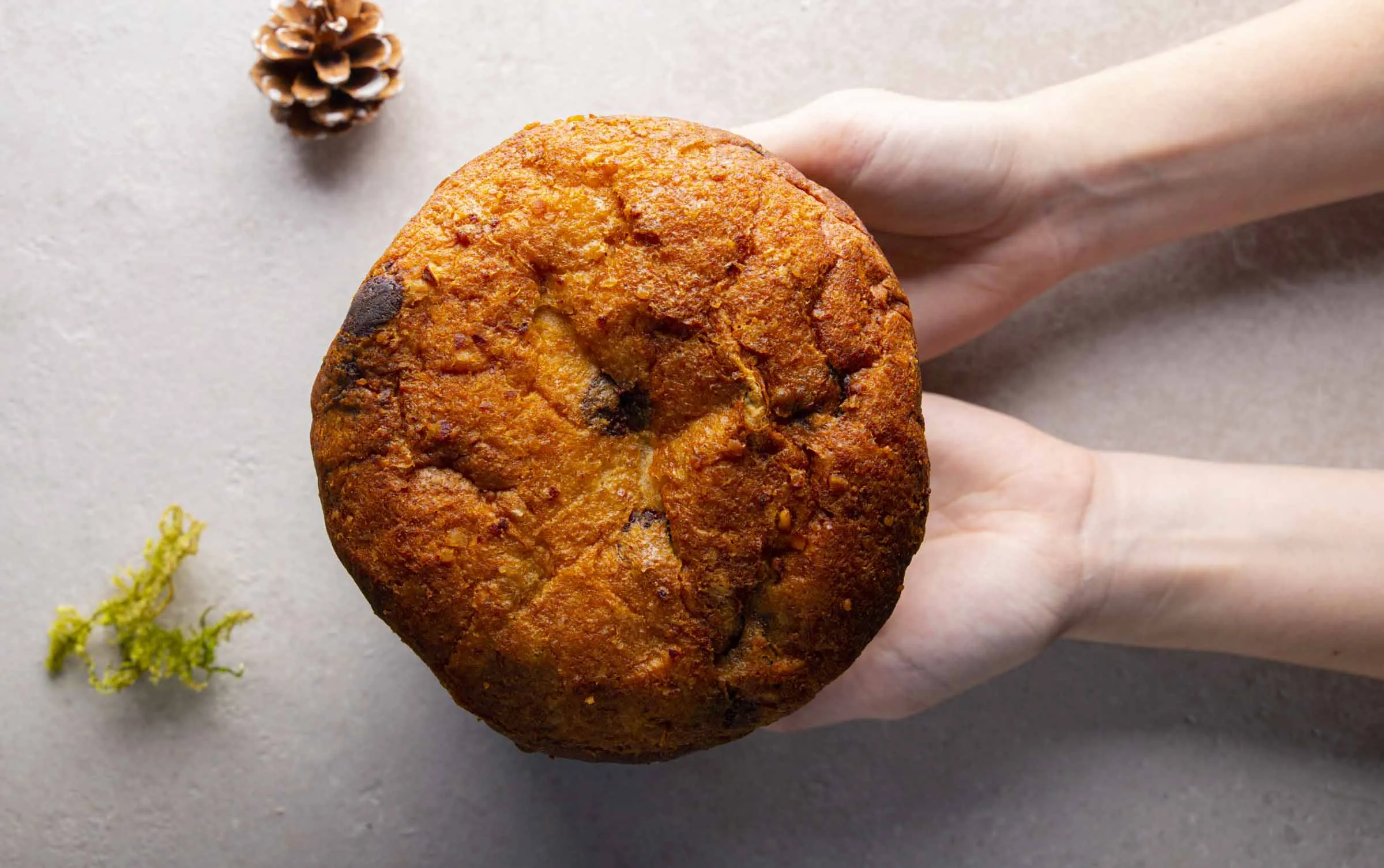 Panettone con cioccolata